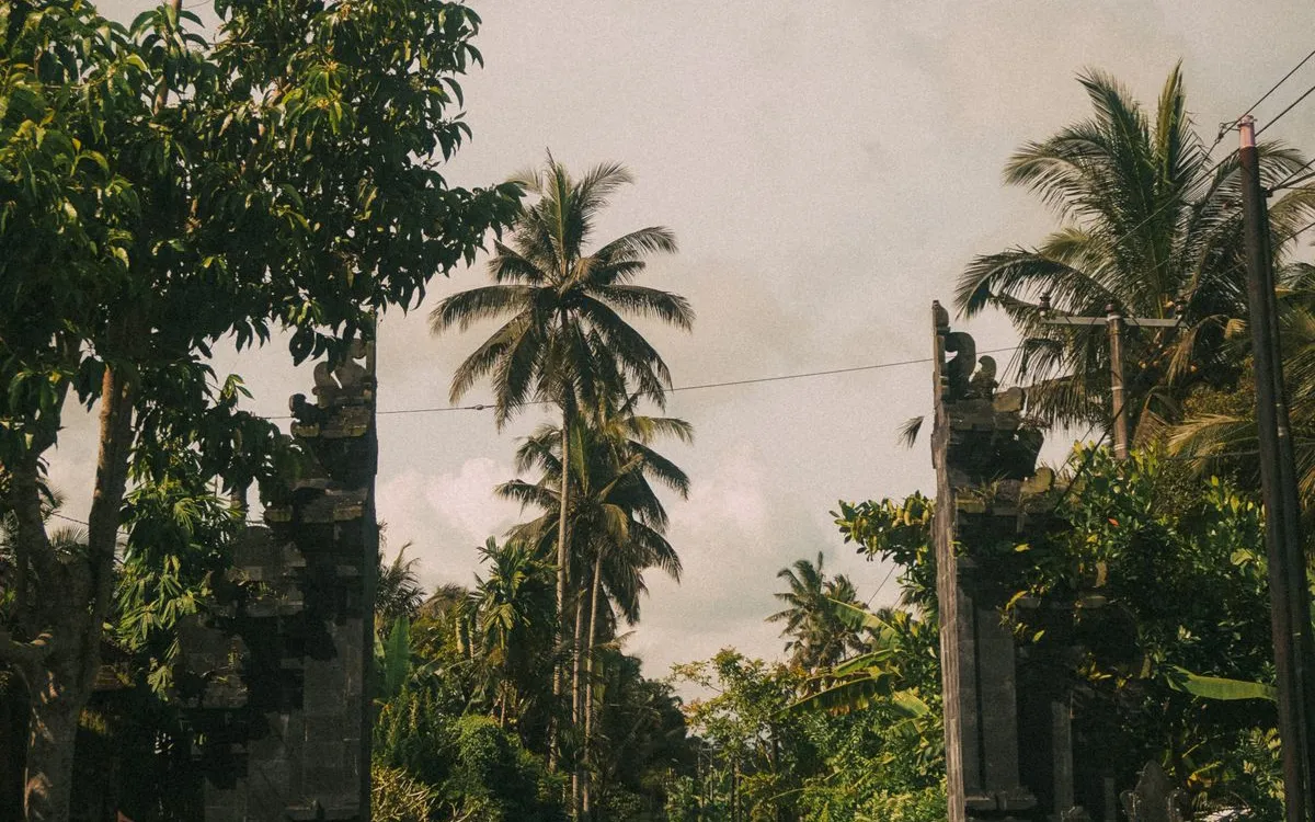 Bali Driving Rules