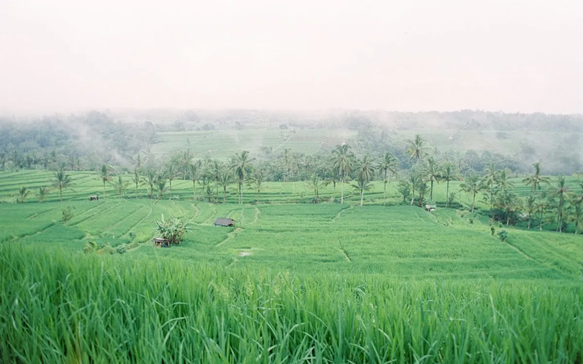 Best Time to Visit Bali