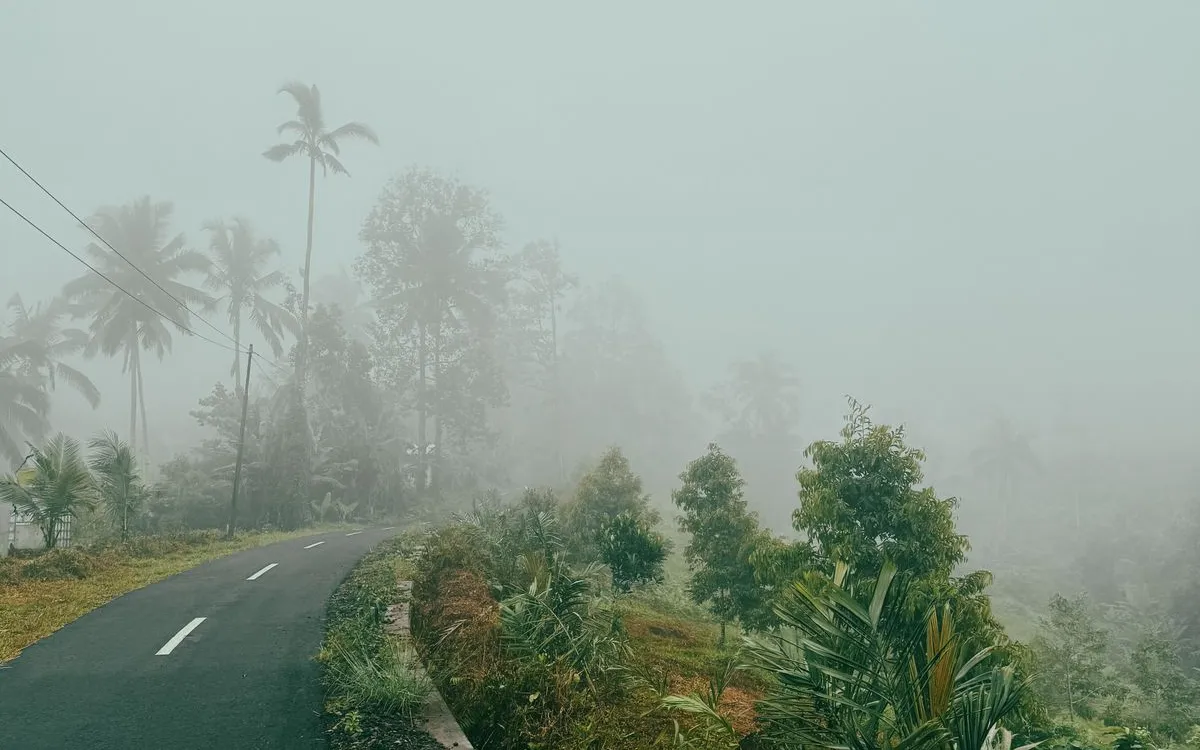 Bali Car Rental Costs