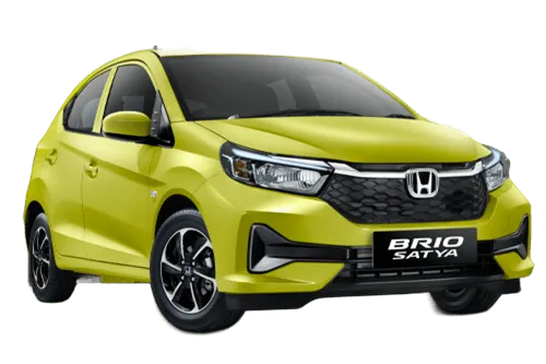 New Brio 2023