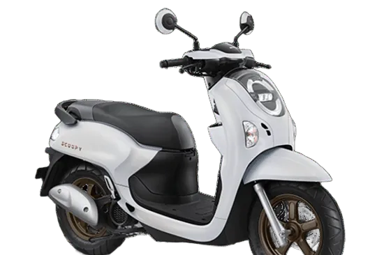New Scoopy
